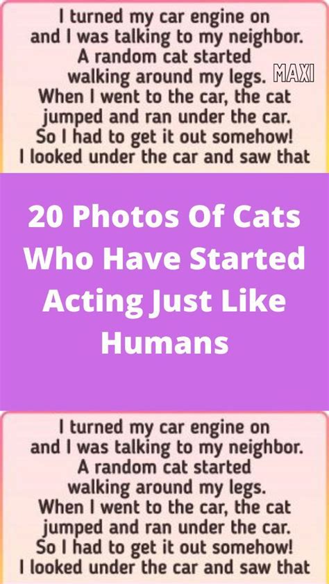 20 Photos Of Cats Who Have Started Acting Just Like Humans Artofit