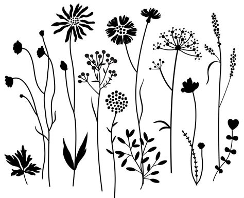 Wildflowers 2 Digital Clipart Hand Drawn Digital Clipart Flowers