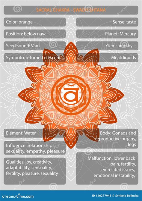 S Mbolos De Chakras Con La Descripci N De Los Significados Infographic