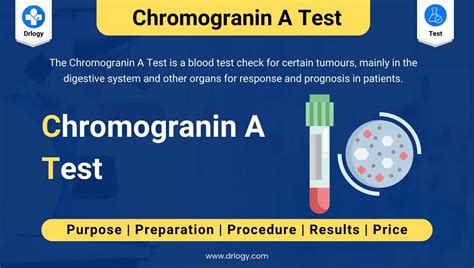 Chromogranin A (CgA) Test: Price, Procedure & Results | Drlogy