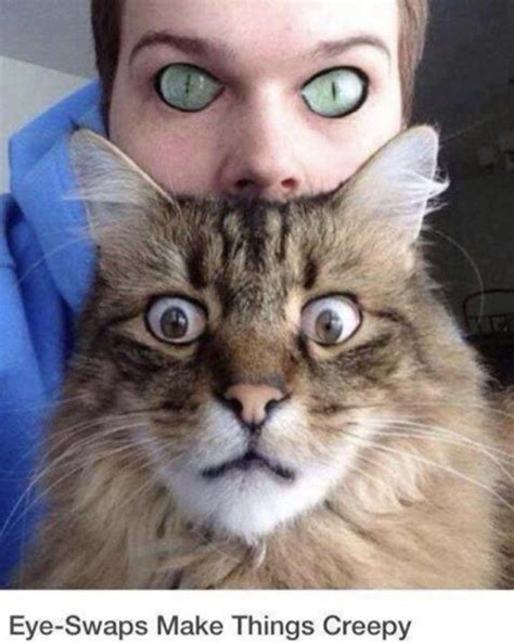 if we had cat eyes and they had human eyes scary - Meme Guy