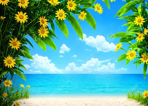 A Beautiful Early Morning On The Summer Beach Background Nature Beach