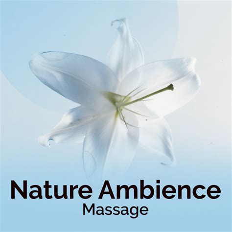 Nature Ambience Massage Album By Massage Tribe Spotify