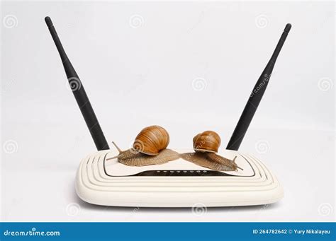 White Modem Cable Stock Photo 80766258