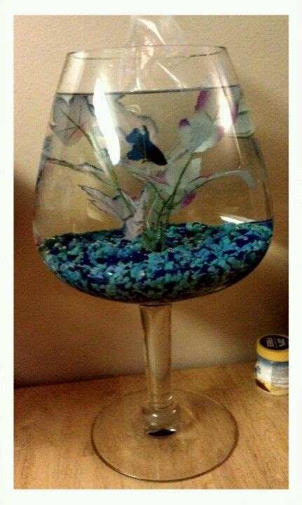 13 My Betta Fish Wedding Ideas Betta Fish Betta Fish Centerpiece