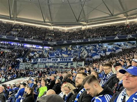 Fotos Galerie G Stefans Fc Schalke Hertha Bsc