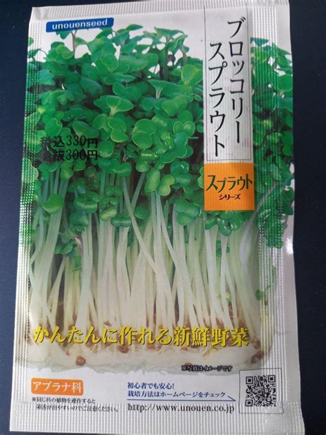 Yahooオークション 未開封＜野菜の種＞ブロッコリースプラウト ヘル