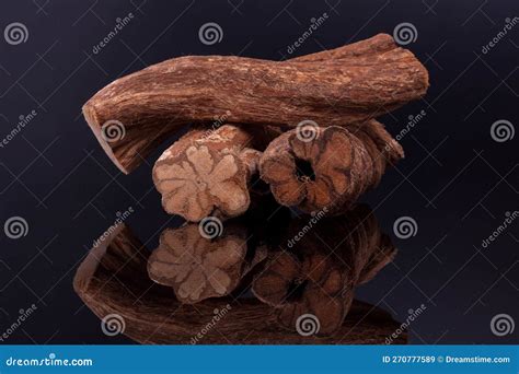 Banisteriopsis Caapi Ayahuasca Stock Image Image Of Shamanism