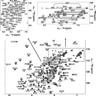 Assigned N H Hsqc Spectrum Of The N Labeled Nare Protein Acquired