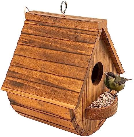 Amazon Starswr Bird Houses For Outside Outdoor Hole Bird House