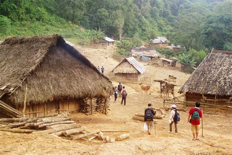 Days Trek Gibbon Trail In Vieng Phoukha Phou Iu Travel Ecotourism