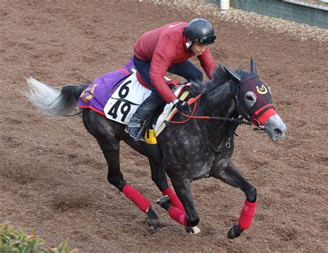 【愛知杯・玉木の特注馬】栗東・杉山佳調教師がコスタボニータで2週連続重賞vを狙う「イフェイオンの近親です」｜ニフティニュース