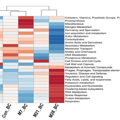 The Heatmap Showing Relative Abundance Mean 002 Of The Major Download Scientific Diagram