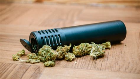 Dry Herb Vaporizers Everything You Need To Know Fast Buds