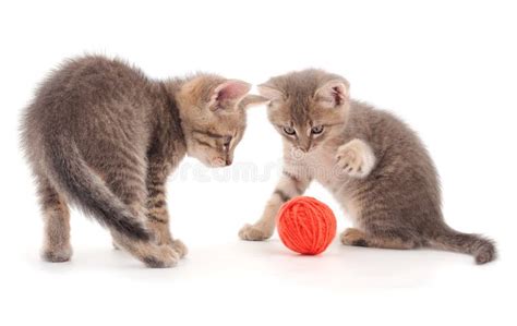 Two Little Kittens Playing With A Ball Of Yarn Stock Image - Image of ...