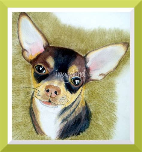 Stunning "Chihuahua" Artwork For Sale on Fine Art Prints