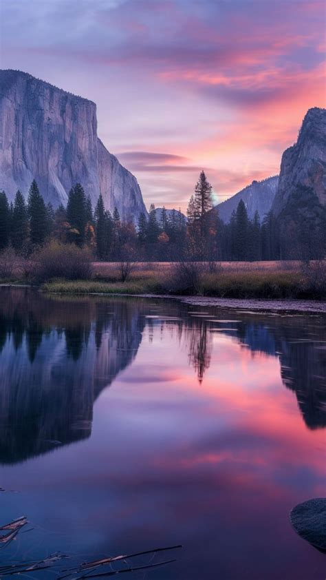 Wallpaper El Capitan K K Wallpaper K Yosemite Forest Osx