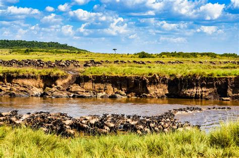 4 Day Mid Range Safari Lake Nakuru Masai Mara Adventure