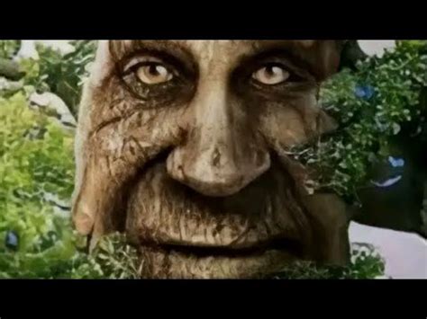 мудрый дУб (чтооо) - YouTube