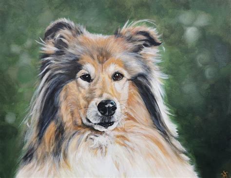 Bild Hund Collie Portrait Malerei Von Heike Deininger