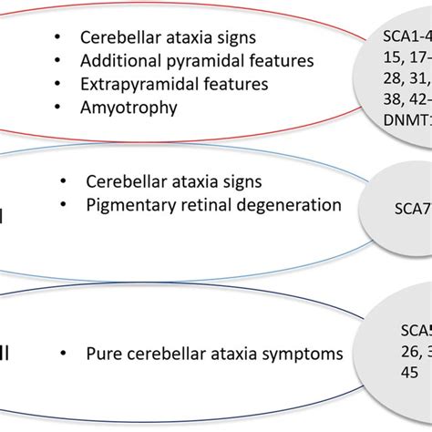 Hardings Classification Of Spinocerebellar Ataxia Detailing The