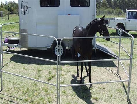 Galvanized Portable Horse Corral Panels China Supplier