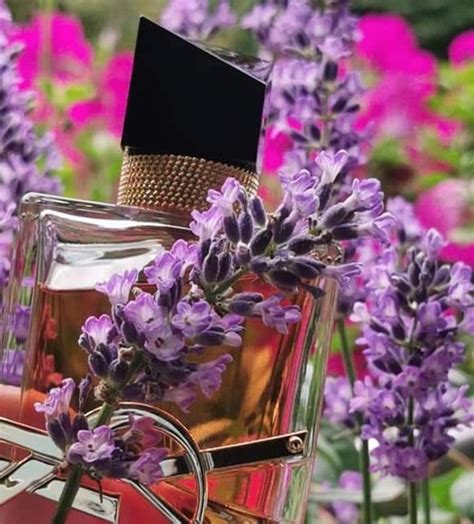 Libre Intense Yves Saint Laurent Fragancia Una Fragancia Para Mujeres 2020