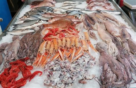 Pesce Non Tracciato E In Cattivo Stato Di Conservazione Sanzioni