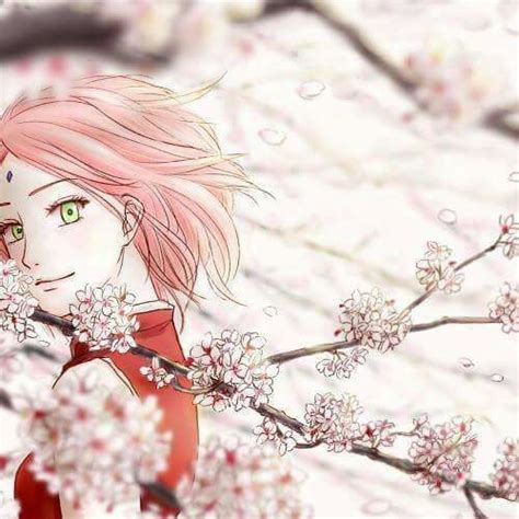 Sakura ( Ninja ) , Sakura ( Cherry blossom) | Anime Amino