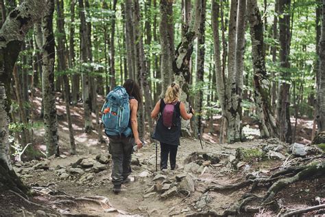 Self Guided Trek From Valbona To Theth Luna Sh P K