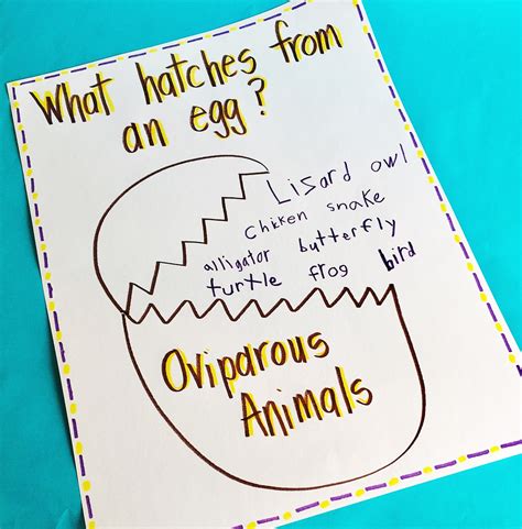 Oviparous Animals List