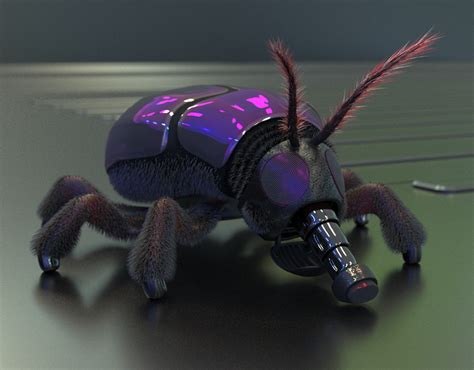 computer bug animation  behance