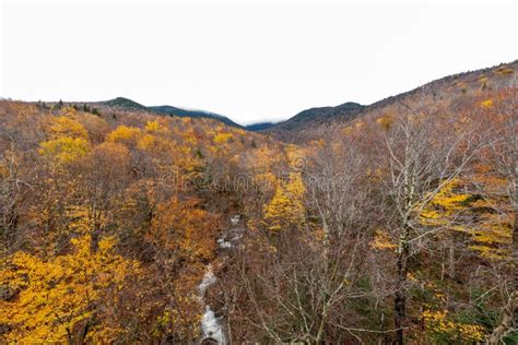 Scene Of The Basin Franconia Notch State Park Lincoln NH