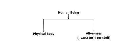 Understanding The Human Being As Coexistence Of Self And Body Thecscience