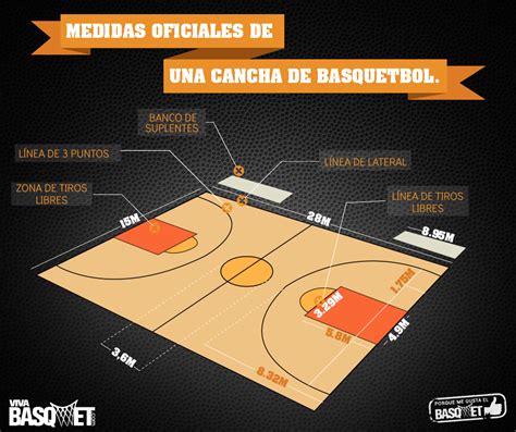 Las Medidas Oficiales De Una Cancha Viva Basquet