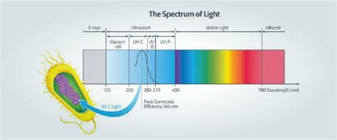 Honeywell Ultra Violetuv Light For Iaq