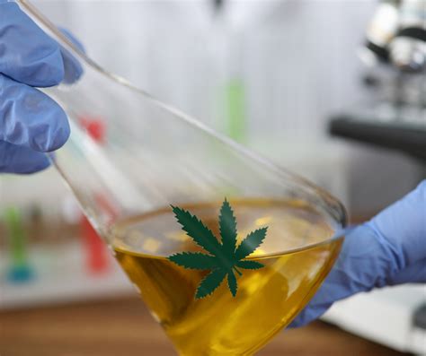 What Do Cannabis Testing Labs Do FadeMD Blog