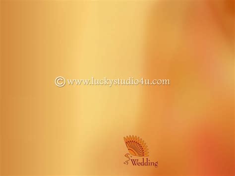 25 Wedding Album Background Psd Sheets Download - StudioPk