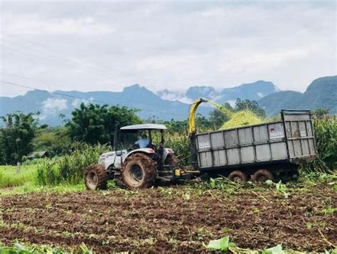 Produtores Rurais T M At Janeiro Para Realizar Recadastramento