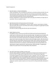 NURS 230 Fundamentals Wk 7 Assigment Nutrition Wound Staging Pressure