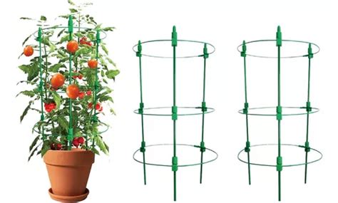 Jaulas De Soporte Ajustables Para Plantas De Tomate Paquete Meses