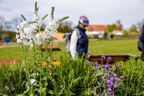 schönsten Fotos der Landesgartenschau Eröffnung 2024 in Wangen