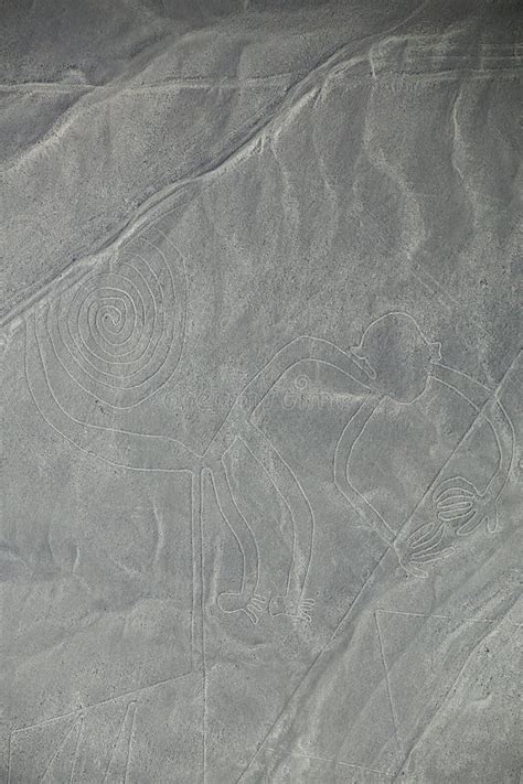 La Vista Aérea De Nazca Alinea Monkey El Geoglyph Perú Imagen de