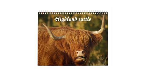 Scottish Highland Cattle Calendar | Zazzle