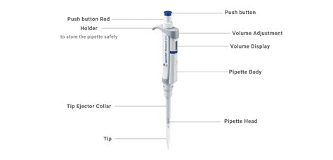 Pipette Principle Parts Types Procedure Uses Examples