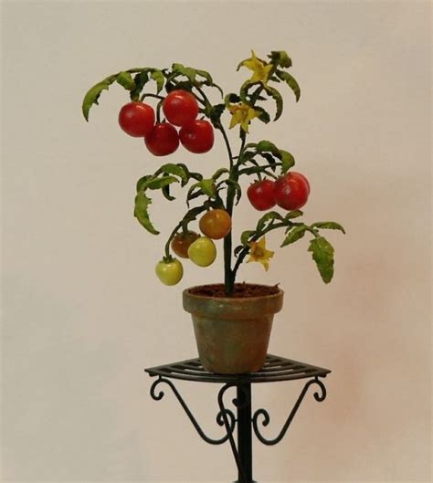 Tomato plant | Miniature plants, Indoor flowering plants ... | Miniature plants, Diy doll ...