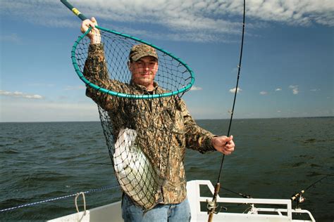 Catching Crappie On South Carolinas Santee Cooper Lakes