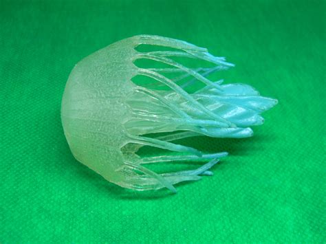 Models: Cnidaria | Jurassic James