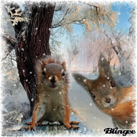 Winter Squirrels Picture #127847179 | Blingee.com