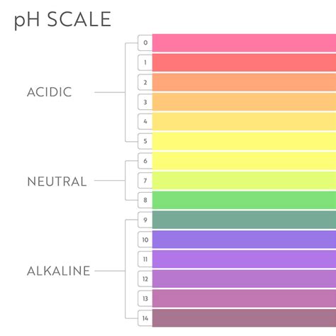 Premium Vector | Ph value scale chart. acid-base balance infographic ...